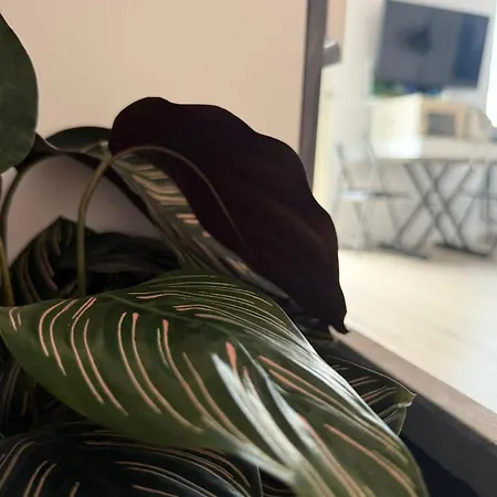 My Place-milan Centre Apartment *